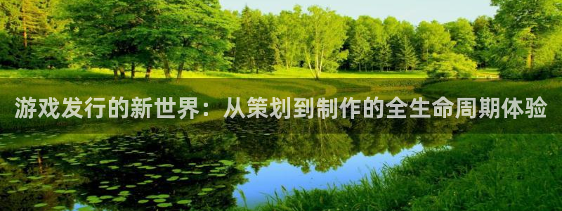 新宝GG子寓意：游戏发行的新世界：从策划到制作的全生命周期体验