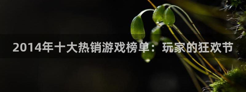 新宝GG子猫图片：2014年十大热销游戏榜单：玩家的狂欢节