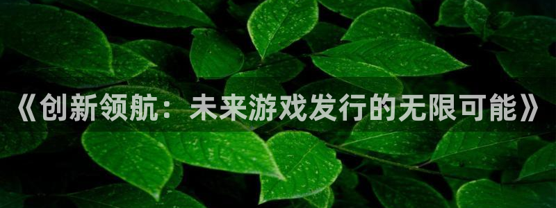 新宝GG官网注册地址在哪里啊：《创新领航：未来游戏发行的无限可能》
