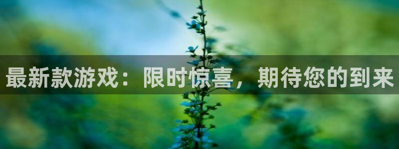 新宝GG子最好看的小说：最新款游戏：限时惊喜，期待您的到来