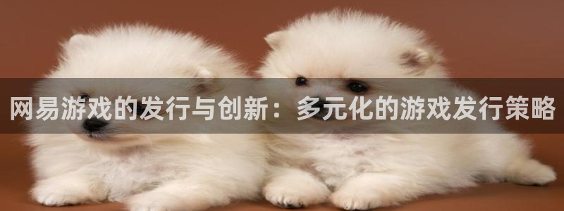 新宝GG官网挂机项目怎么样啊：网易游戏的发行与创新：多元化的游戏发行策略