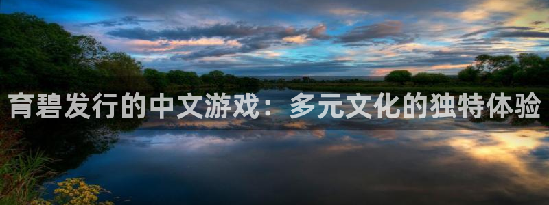 新宝GG官网注册方法视频教程：育碧发行的中文游戏：多元文化的独特体验