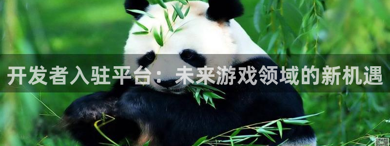 新宝GG官网注册地址查询官网：开发者入驻平台：未来游戏领域的新机遇