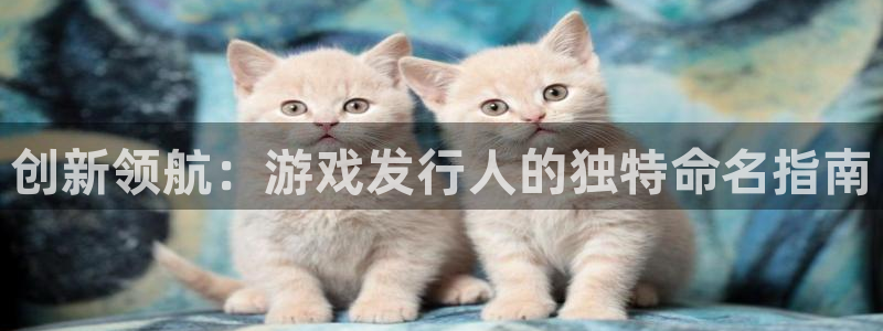 新宝GG官网主营业务：创新领航：游戏发行人的独特命名指南