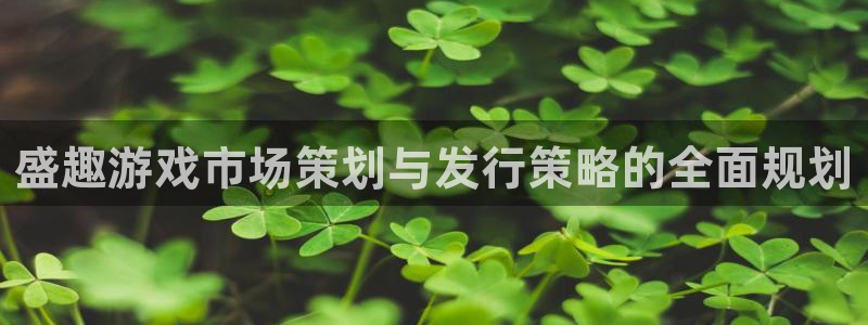 新宝GG怪兽：盛趣游戏市场策划与发行策略的全面规划