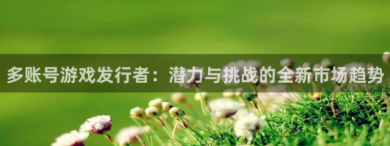新宝GG官网平台是骗局吗