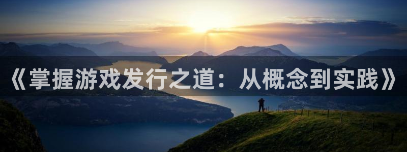 新宝GG官网注册地址查询：《掌握游戏发行之道：从概念到实践》