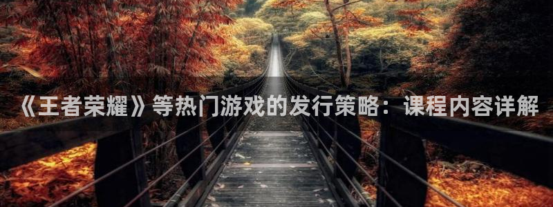 新宝GG官网登录注册账号安全吗是真的吗：《王者荣耀》等热门游戏的发行策略：课程内容详解