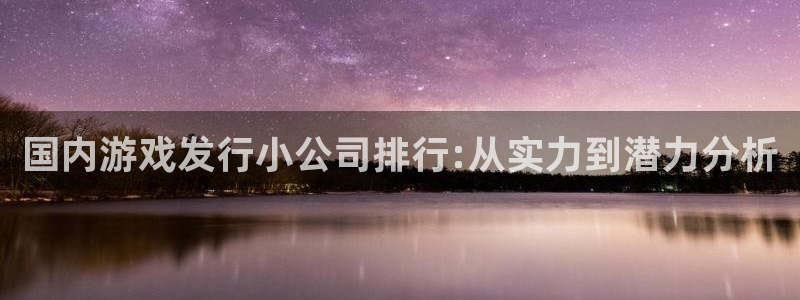 新宝GG官网注册方法是什么软件：国内游戏发行小公司排行:从实力到潜力分析