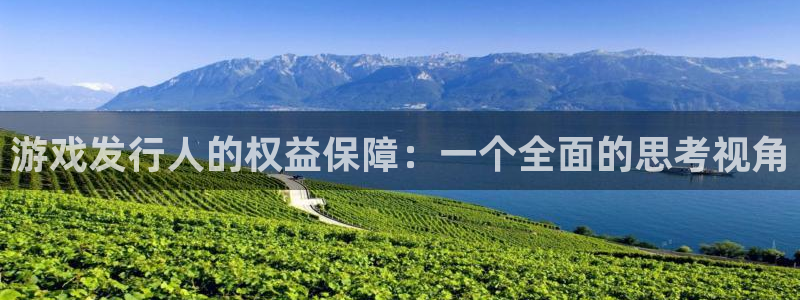 广州新宝GG网络科技有限公司：游戏发行人的权益保障：一个全面的思考视角