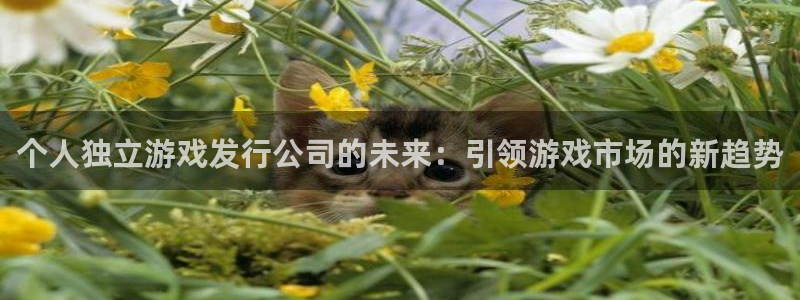 新宝GG官网平台怎么样啊：个人独立游戏发行公司的未来：引领游戏市场的新趋势