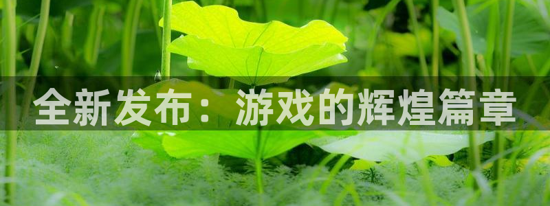 新宝GG官网游戏平台高奖金玩法