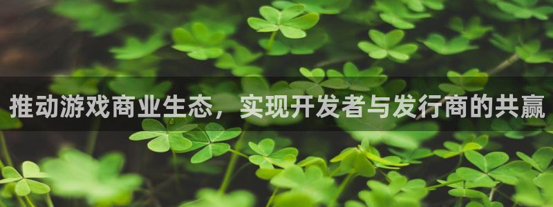 江苏新宝GG：推动游戏商业生态，实现开发者与发行商的共赢