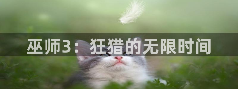 新宝GG官网是赌博么：巫师3：狂猎的无限时间