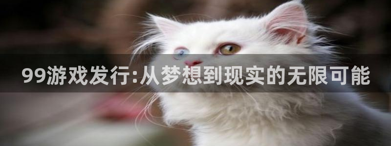 四川新宝GG科技有限公司招聘：99游戏发行:从梦想到现实的无限可能