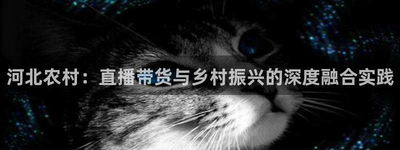 说球帝nba直播在线观看：河北农村：直播带货与乡村振兴的深度融合实践